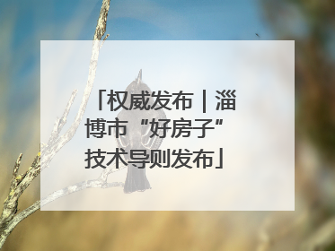 权威发布｜淄博市“好房子”技术导则发布