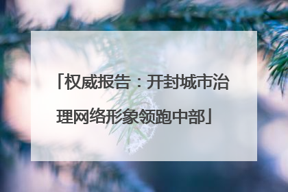 权威报告：开封城市治理网络形象领跑中部