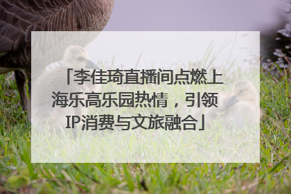 李佳琦直播间点燃上海乐高乐园热情，引领IP消费与文旅融合