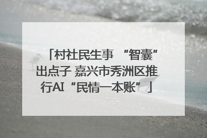 村社民生事 “智囊”出点子 嘉兴市秀洲区推行AI“民情一本账”