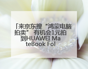 来京东搜“鸿蒙电脑拍卖” 有机会1元拍到HUAWEI MateBook Fold 非凡大师