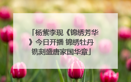 杨紫李现《锦绣芳华》今日开播 锦绣牡丹镌刻盛唐家国华章