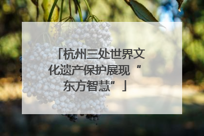 杭州三处世界文化遗产保护展现“东方智慧”