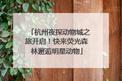 杭州夜探动物城之旅开启！快来荧光森林邂逅明星动物
