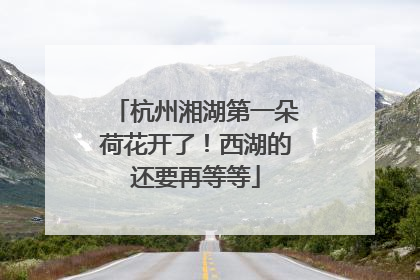 杭州湘湖第一朵荷花开了！西湖的还要再等等