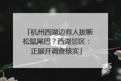 杭州西湖边有人拔断松鼠尾巴？西湖景区：正展开调查核实