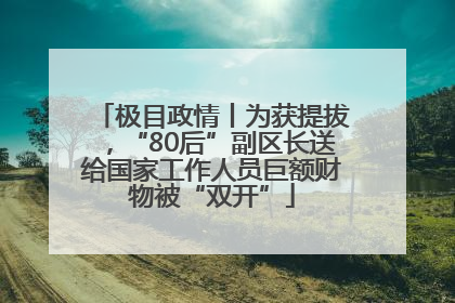 极目政情丨为获提拔，“80后”副区长送给国家工作人员巨额财物被“双开”