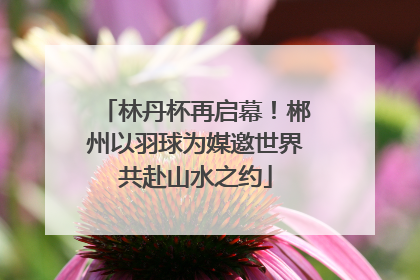 林丹杯再启幕！郴州以羽球为媒邀世界共赴山水之约