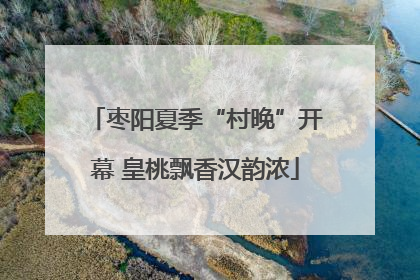 枣阳夏季“村晚”开幕 皇桃飘香汉韵浓