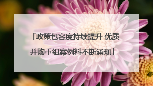 政策包容度持续提升 优质并购重组案例料不断涌现