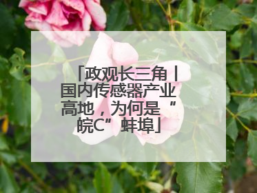 政观长三角丨国内传感器产业高地，为何是“皖C”蚌埠