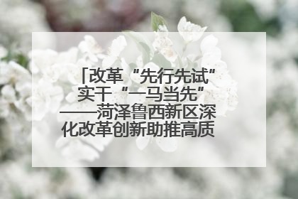 改革“先行先试” 实干“一马当先”——菏泽鲁西新区深化改革创新助推高质量发展纪实