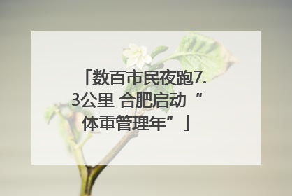 数百市民夜跑7.3公里 合肥启动“体重管理年”