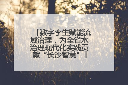数字孪生赋能流域治理，为全省水治理现代化实践贡献“长沙智慧”