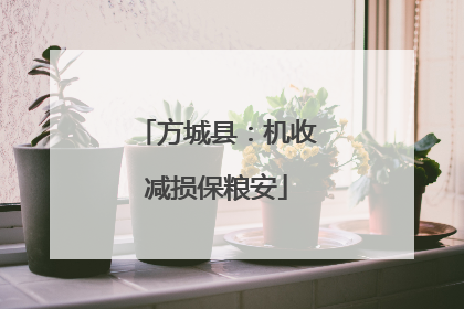 方城县：机收减损保粮安