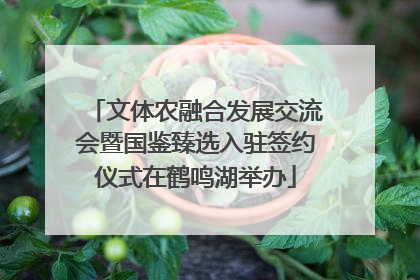 文体农融合发展交流会暨国鉴臻选入驻签约仪式在鹤鸣湖举办