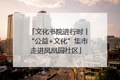 文化书院进行时丨“公益+文化”集市走进凤凰园社区