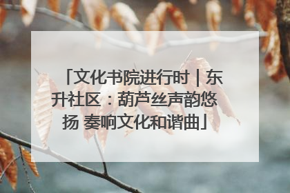 文化书院进行时｜东升社区：葫芦丝声韵悠扬 奏响文化和谐曲