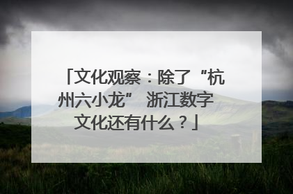 文化观察：除了“杭州六小龙” 浙江数字文化还有什么？