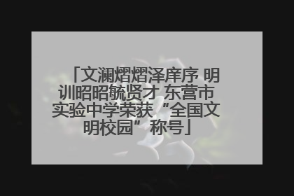 文澜熠熠泽庠序 明训昭昭毓贤才 东营市实验中学荣获“全国文明校园”称号