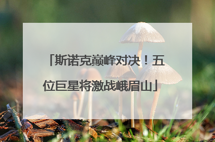 斯诺克巅峰对决！五位巨星将激战峨眉山