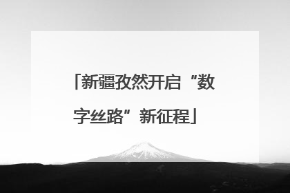 新疆孜然开启“数字丝路”新征程