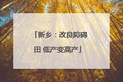 新乡：改良障碍田 低产变高产