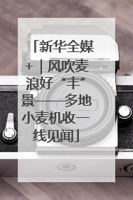 新华全媒+｜风吹麦浪好“丰”景——多地小麦机收一线见闻