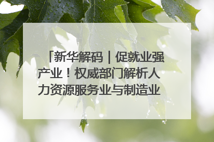 新华解码｜促就业强产业！权威部门解析人力资源服务业与制造业融合发展试点