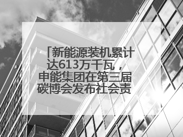 新能源装机累计达613万千瓦，申能集团在第三届碳博会发布社会责任报告
