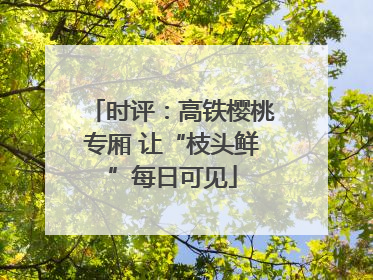时评：高铁樱桃专厢 让“枝头鲜”每日可见