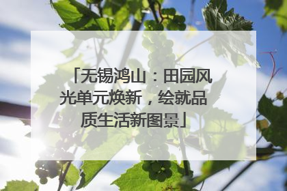 无锡鸿山：田园风光单元焕新，绘就品质生活新图景