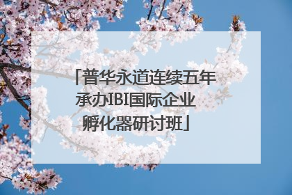 普华永道连续五年承办IBI国际企业孵化器研讨班