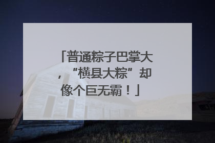 普通粽子巴掌大，“横县大粽”却像个巨无霸！
