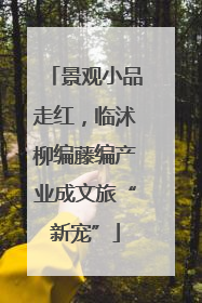 景观小品走红，临沭柳编藤编产业成文旅“新宠”