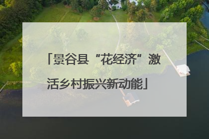 景谷县“花经济”激活乡村振兴新动能
