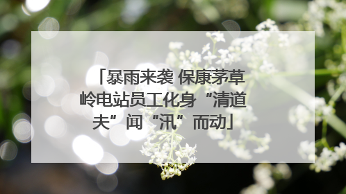 暴雨来袭 保康茅草岭电站员工化身“清道夫”闻“汛”而动