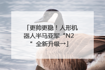 更帅更稳！人形机器人半马亚军“N2”全新升级→