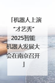 机器人上演“才艺秀” 2025智能机器人发展大会在南京召开