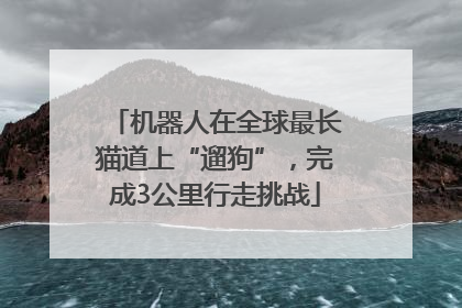 机器人在全球最长猫道上“遛狗”，完成3公里行走挑战
