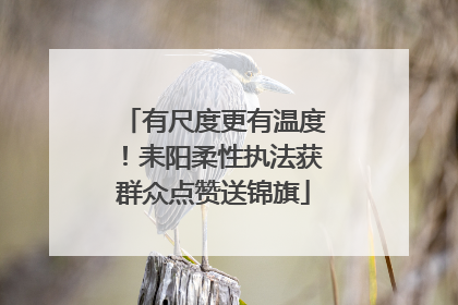 有尺度更有温度！耒阳柔性执法获群众点赞送锦旗