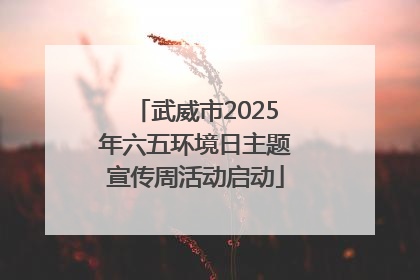 武威市2025年六五环境日主题宣传周活动启动