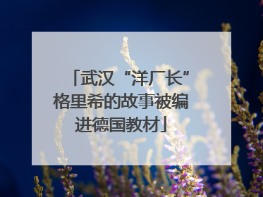 武汉“洋厂长”格里希的故事被编进德国教材