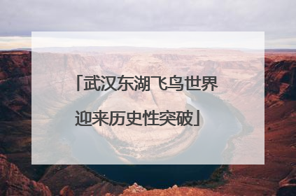 武汉东湖飞鸟世界迎来历史性突破