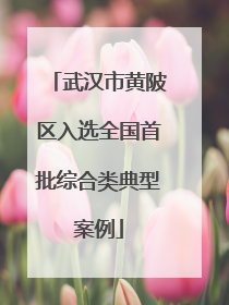 武汉市黄陂区入选全国首批综合类典型案例