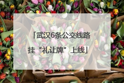 武汉6条公交线路挂“礼让牌”上线