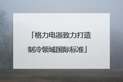 格力电器致力打造制冷领域国际标准