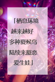 栖息环境越来越好 多种夏候鸟陆续来厦恋爱生娃
