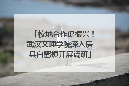 校地合作促振兴！武汉文理学院深入房县白鹤镇开展调研