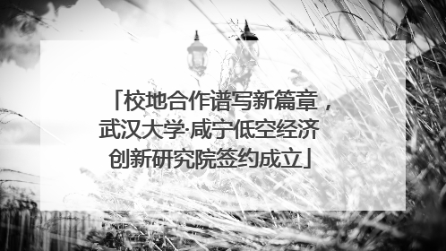 校地合作谱写新篇章，武汉大学·咸宁低空经济创新研究院签约成立